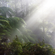 Image for article titled Which species stand to benefit the most from global warming?